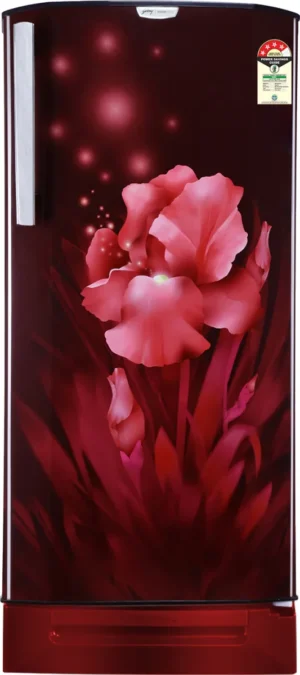 Godrej RD EDGENEO 207D TDF 180 L 4 Star Single Door Refrigerator