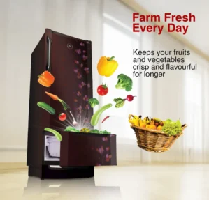 Godrej RD EDUO 270C TDI 237 L 3 Star Double Door Refrigerator