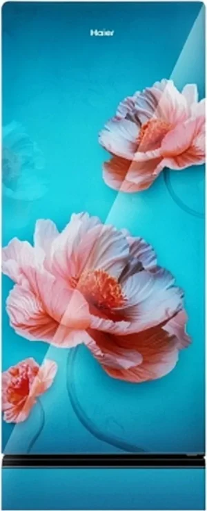 Haier HRD-2115PFGG-N 190 L 5 Star Single Door Refrigerator