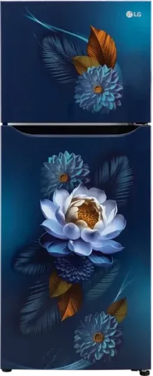 LG GL-S292SBWY 240 L 2 Star Double Door Refrigerator