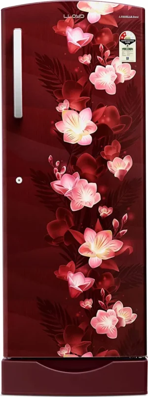 Lloyd GLDC272SGWS2PB 255 L 2 Single Door Refrigerator