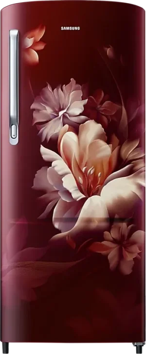 Samsung RR20D1723RZ 183 L 3 Star Single Door Refrigerator