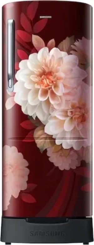 Samsung RR20F2825BR 183 L 5 Star Single Door Refrigerator