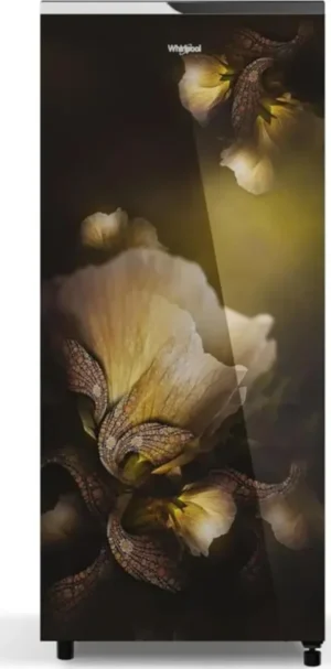 Whirlpool DC 215 IMPRO GD PRM 192 L 5 Star Single Door Refrigerator