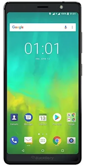 Blackberry Evolve