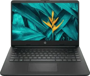 HP 14s-dq3033TU Laptop (Pentium N6000/ 8GB/ 256GB SSD/ Win11)