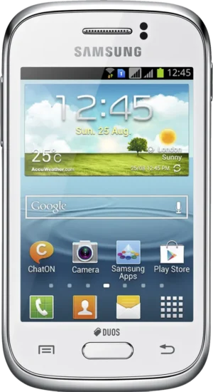 Samsung Galaxy Young Duos S6312