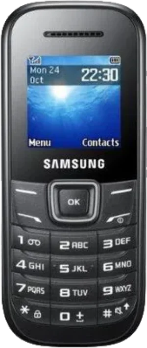 Samsung Guru E1200