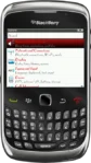 BlackBerry Curve 3G 9330