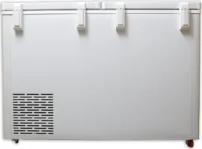 Blue Star CF5-330NEWY 310 L Double Door Deep Freezer