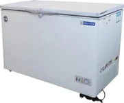 Blue Star CHFK350DGS 350 L Double Door Deep Freezer
