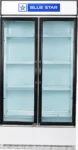 Blue Star SSC1000F 947 L Glass Door Visi Cooler