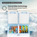 Godrej DH ESNCH 325D 2HCNP RW 302 L Double Door Deep Freezer