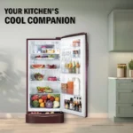 Godrej GL-D231ARWU 210 L 5 Star Single Door Refrigerator