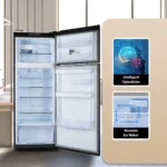 Godrej RF EON 331B RCIT MT BK 308 L 2 Star Double Door Refrigerator