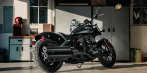 Indian Chief Dark Horse