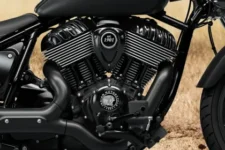 Indian Chief Dark Horse