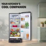 LG GL-D201AEFU 185 L 5 Star Single Door Refrigerator