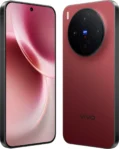 Vivo X300