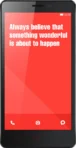 Xiaomi Redmi Note 4G